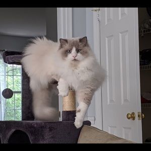 Meet your Posher, Nancy